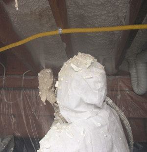Thornton CO crawl space insulation